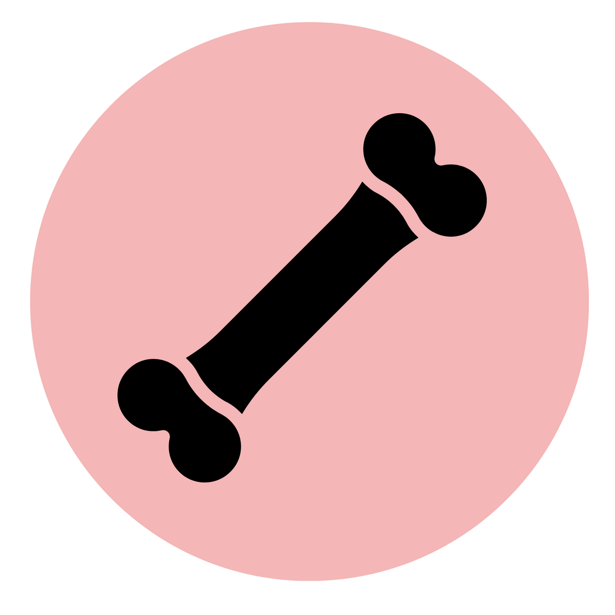 Bone Health