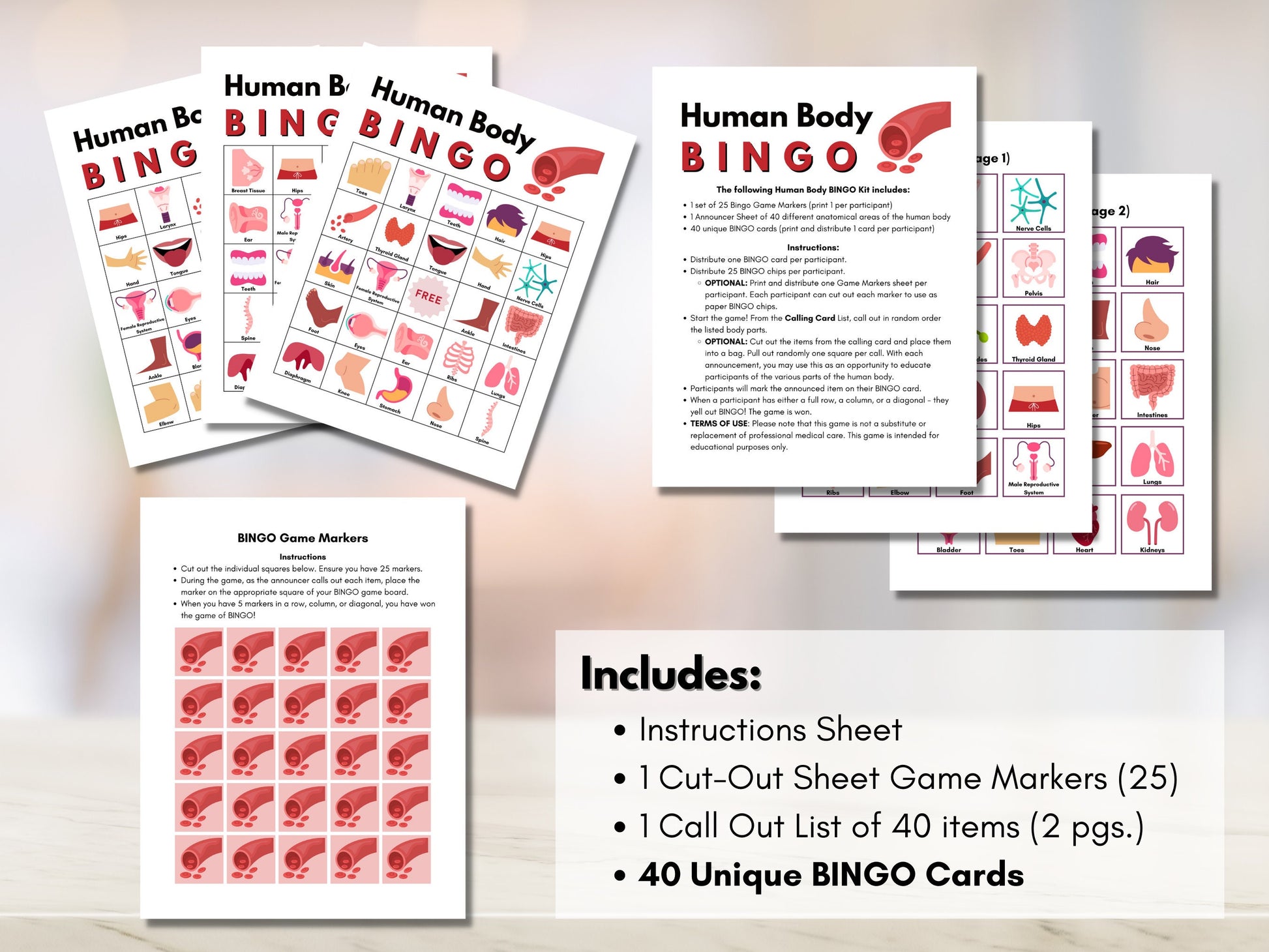 Human Body Anatomy BINGO Game, Body Organs, Classroom Education, Learning Game Activity, Health, Medical Game (Digital Printable)