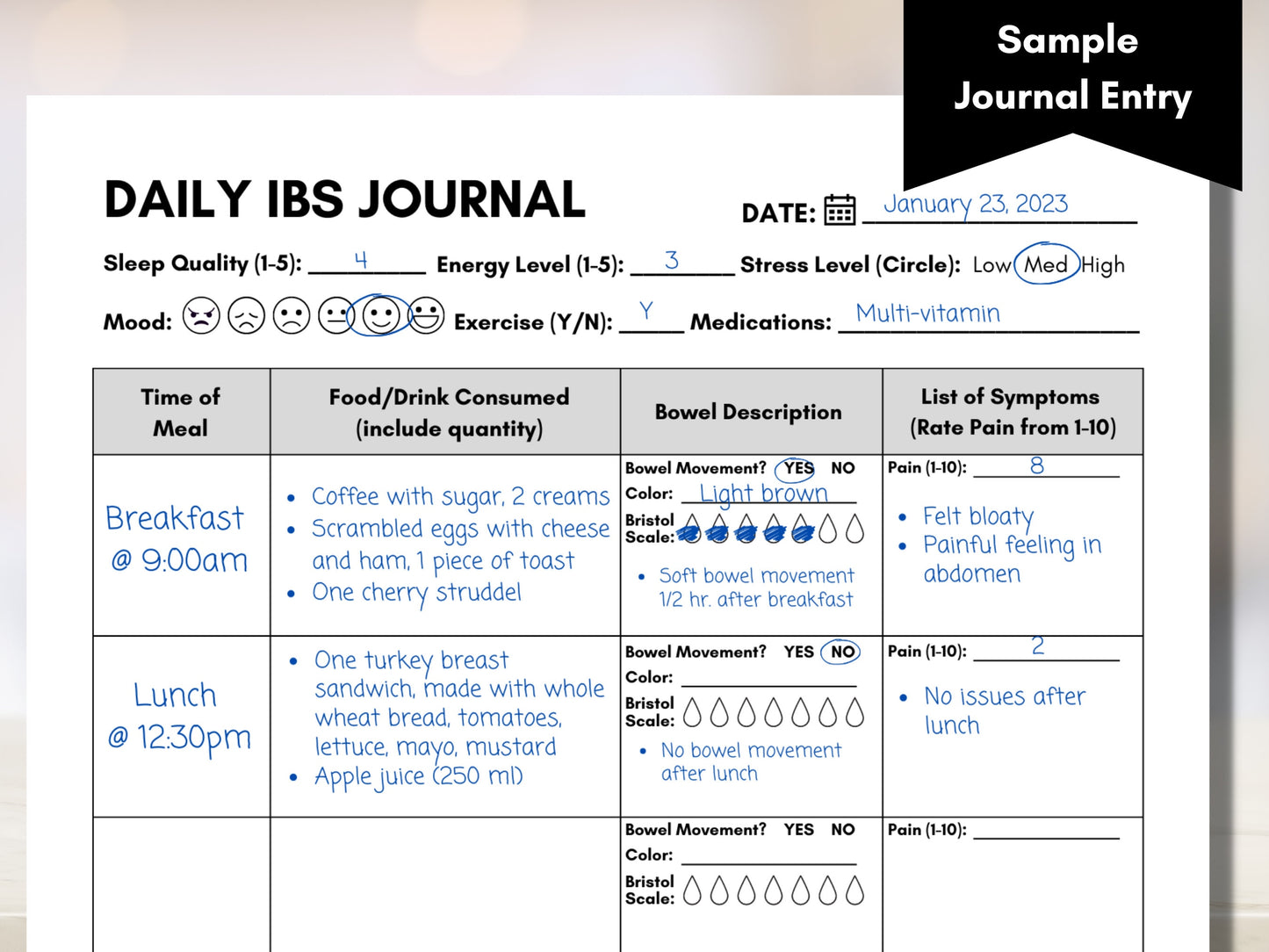 IBS Food Journal, Daily IBS Symptom Diary, Irritable Bowel Syndrome, Bowel Movement Tracker, Nutrition Dietitian (Digital Printable)