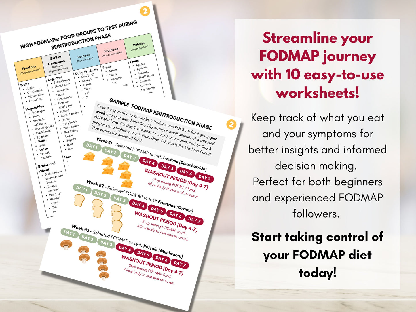 FODMAP Diet Bundle, FODMAP Elimination Reintroduction Planner, 10 Worksheet Pack, FODMAP Guide Book, Nutrition Dietitian (Digital Printable)