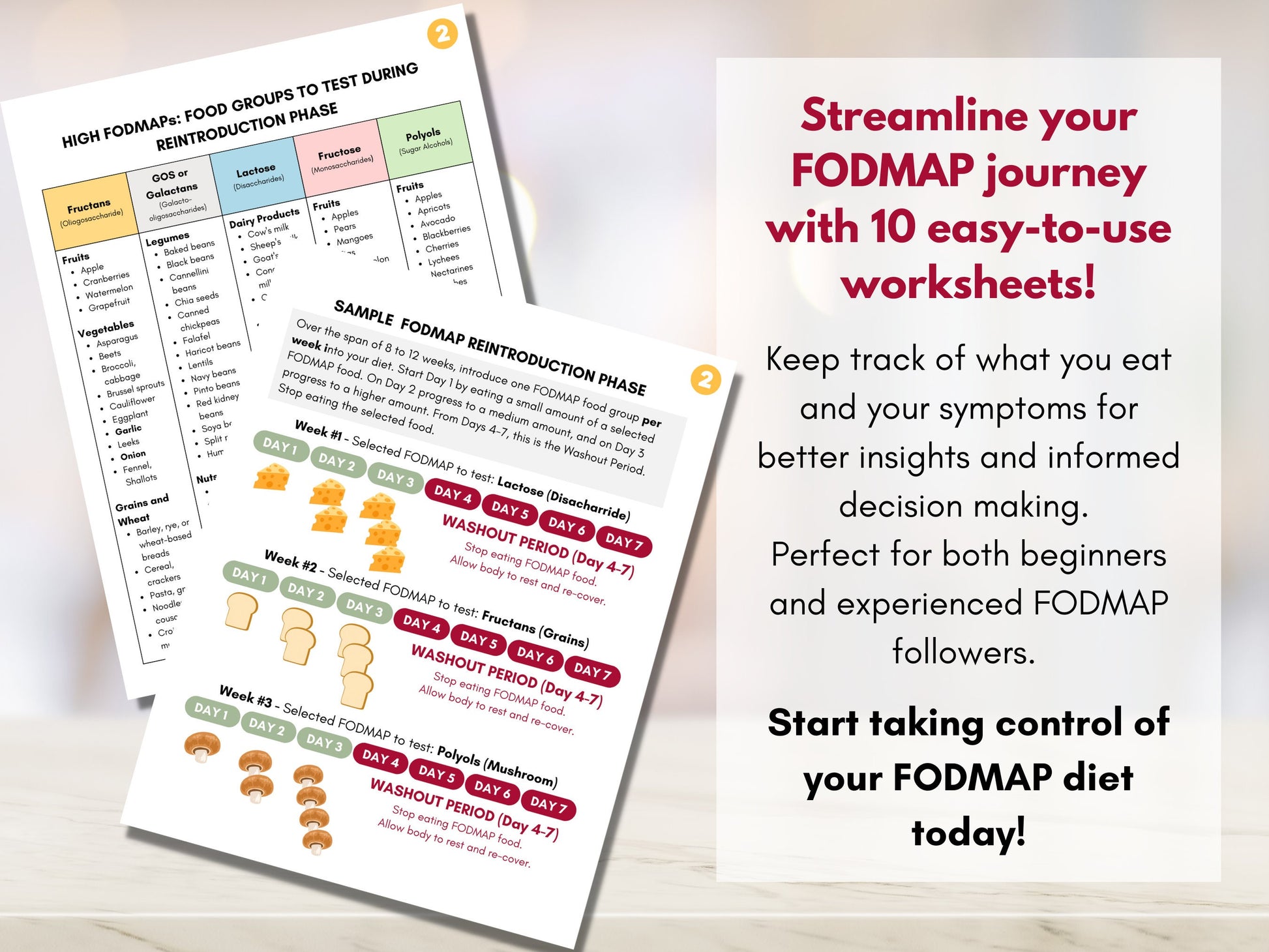 FODMAP Diet Bundle, FODMAP Elimination Reintroduction Planner, 10 Worksheet Pack, FODMAP Guide Book, Nutrition Dietitian (Digital Printable)