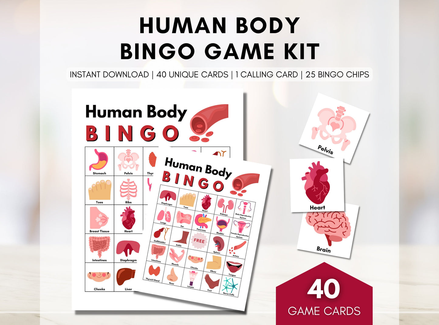 Human Body Anatomy BINGO Game, Body Organs, Classroom Education, Learning Game Activity, Health, Medical Game (Digital Printable)