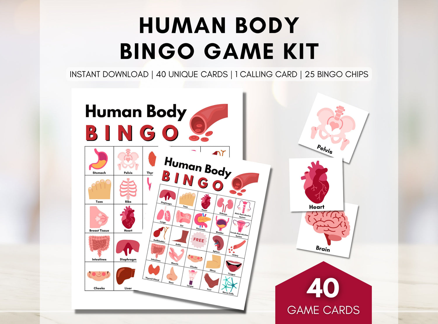 Human Body Anatomy BINGO Game, Body Organs, Classroom Education, Learning Game Activity, Health, Medical Game (Digital Printable)